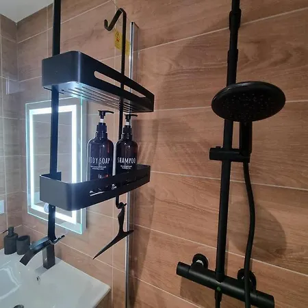 아파트 Les Allies 뮐루즈